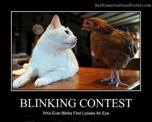 Blinking Contest