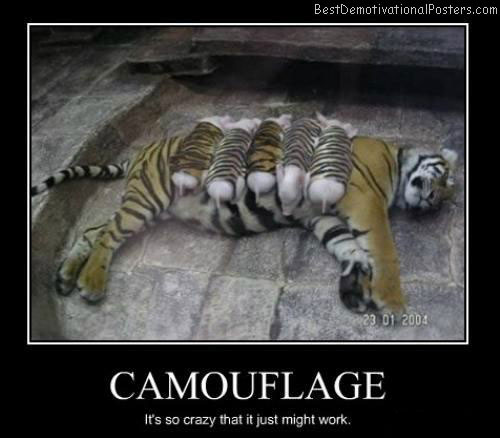 Camouflage-Demotivational-Poster