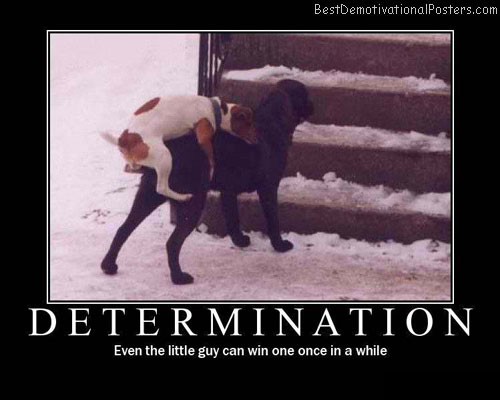 Determination-Demotivatonal-Poster