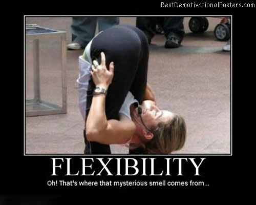 Flexibility-Best-Demotivational-Poster