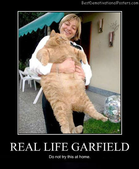 Real-Life-Garfield-Demotivational-Poster