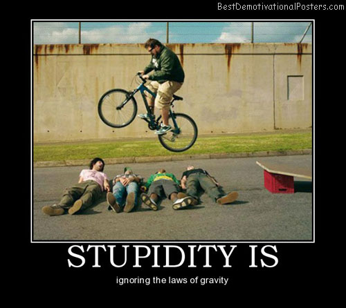 Stupidity-Is-Best-Demotivational-Poster