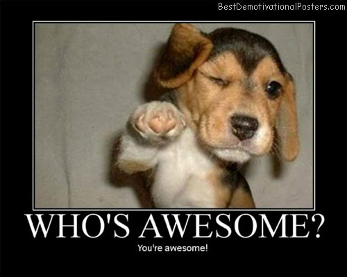 You’re-Awesome-Best-Demotivational-Poster
