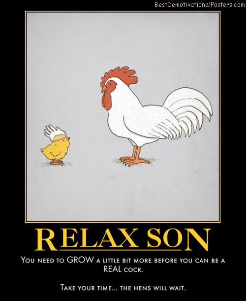 relax-son-chick-rooster-little-grow-cubby-demotivational-poster