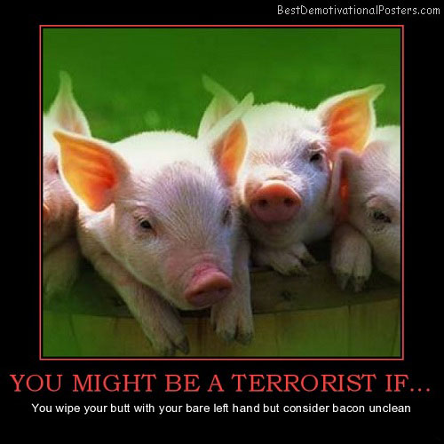 Pigs Demotivational Poster
