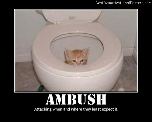 Ambush-Best-Demotivational-poster