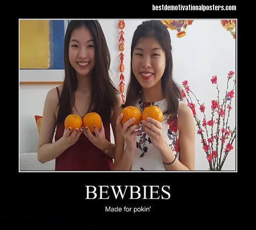 Bewbies-Best-Demotivational-posters