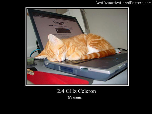 Laptop celeron-Best-Demotivational-poster