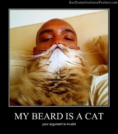 My-beard-is-a-cat-Best-Demotivational-poster