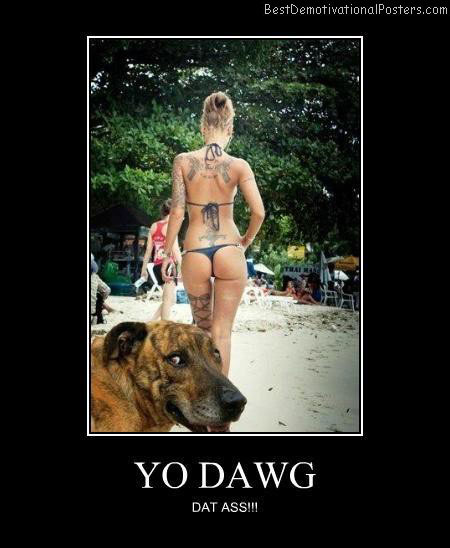Yo-dawg-Best-Demotivational-poster