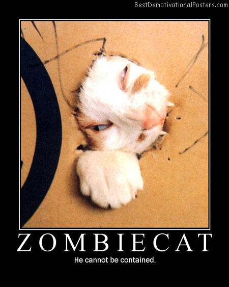 Zombie cat-Best-Demotivational-poster