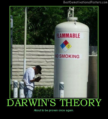 darwins-theory-stupid-dumb-darwin-theory-evolution-best-demotivational-posters