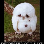 Owl depression poster