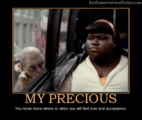my-precious-love-and-acceptance-best-demotivational-posters