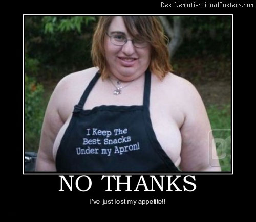 no-thanks-ugly-fat-snacks-best-demotivational-posters