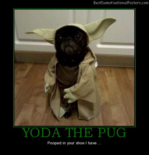pug-yoda-pooped-in-shoes-best-demotivational-posters