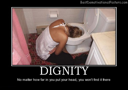dignity-toilet-best-demotivational-posters
