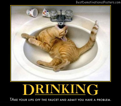 drinking-cat-sink-humor-best-demotivational-posters
