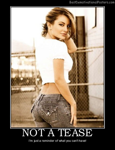 not-a-tease-you-can-t-have-it-best-demotivational-posters