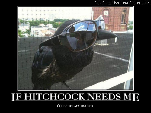 hitchcock-crow-the-birds-set-best-demotivational-posters