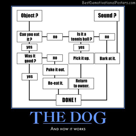 the-dog-how-it-works-humor-best-demotivational-posters