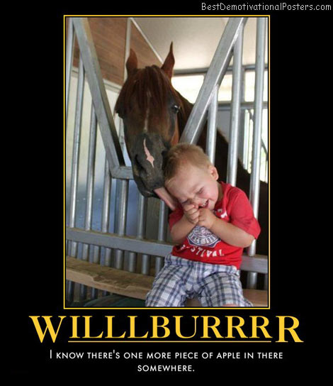 willlburrr-horse-humor-best-demotivational-posters