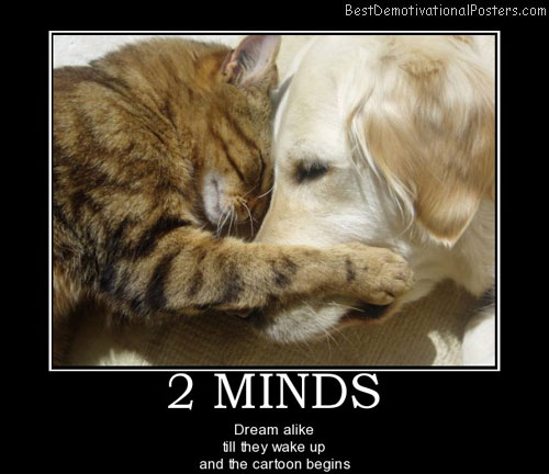 2-minds-cat-dog-best-demotivational-posters