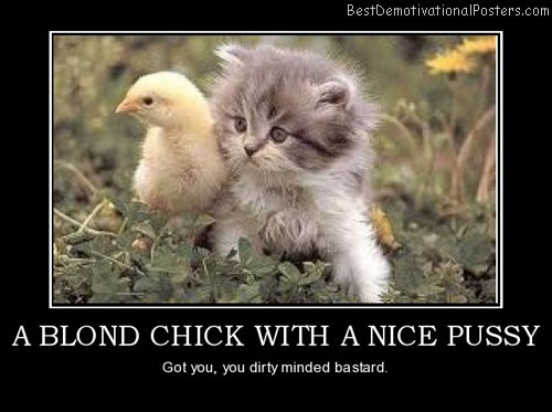 a-blond-chick-with-a-nice-pussy-kitten-cat-animal-best-demotivational-posters