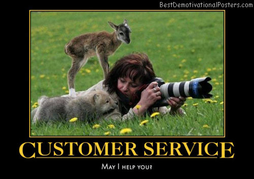 customer-service-baby-animals-curiosity-humor-best-demotivational-posters
