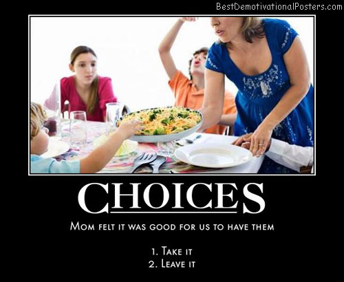 decisions-mom-dinner-best-demotivational-posters