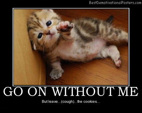 go-on-without-me-kitten-humor-best-demotivational-posters
