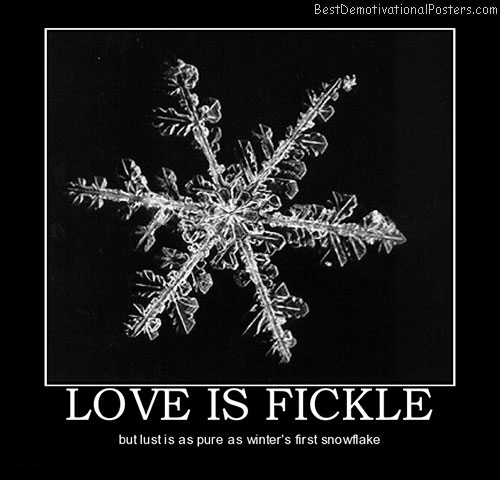 love-is-fickle-pure-lust-best-demotivational-posters