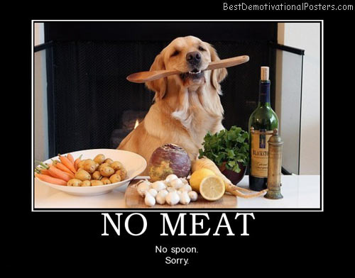 no-meat-cooking-dog-humor-best-demotivational-posters