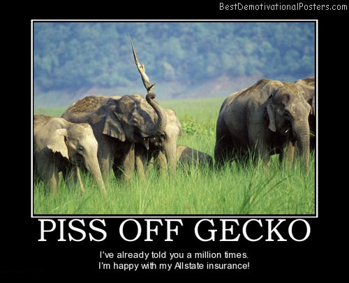 piss-off-gecko-insurance-elephant-best-demotivational-posters