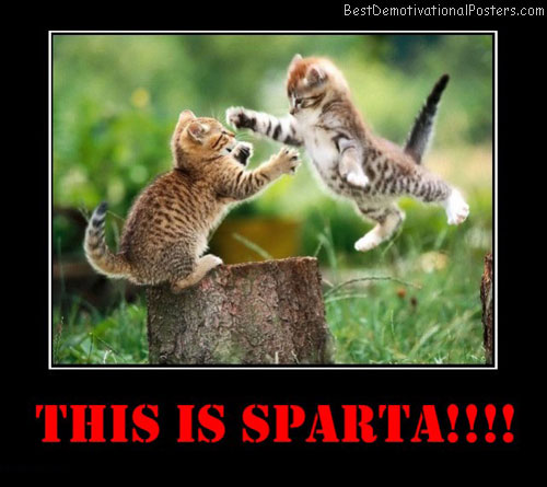 sparta-cats-joke-best-demotivational-posters