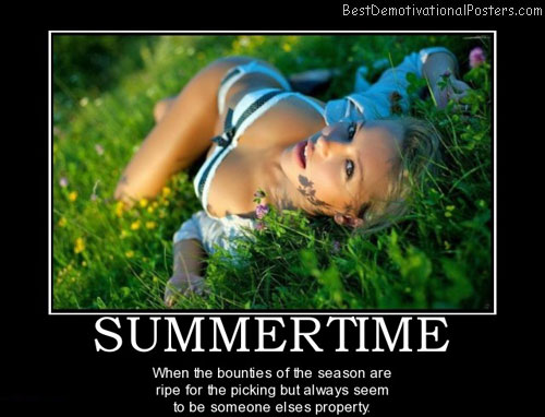 summertime-summer-seasons-harvest-best-demotivational-posters