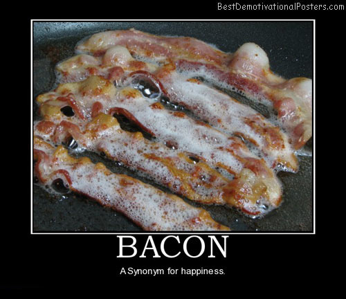 bacon-synonym-happiness-happy-best-demotivational-posters