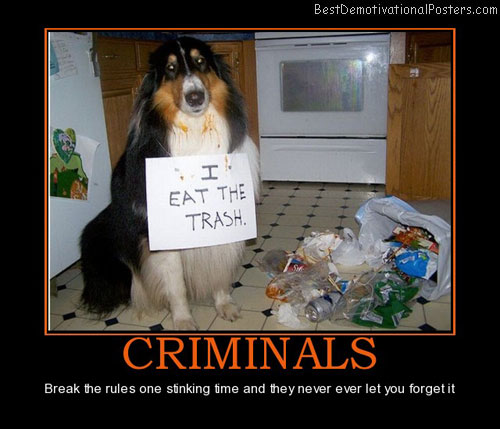 criminals-dogs-trash-funny-best-demotivational-posters