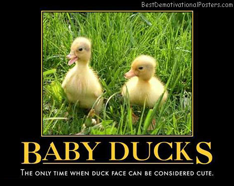 cute-duck-faces-baby-duckface-best-demotivational-posters