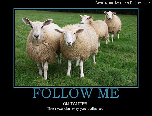 follow-me-sheep-twitter-best-demotivational-posters