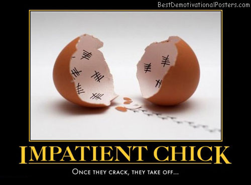 chick-empty-egg-best-demotivational-posters