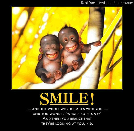 Funny Gorilla Pictures on Smile And Whole World Smiles With You   Demotivational Poster