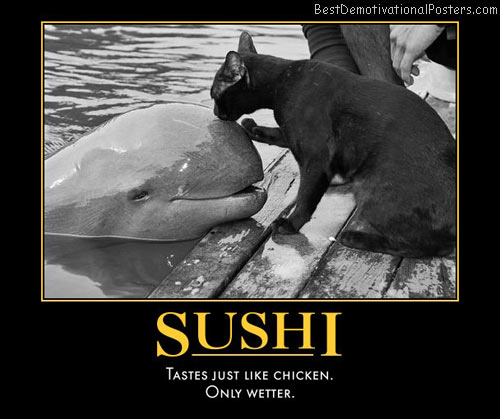 sushi-cat-dolphin-humor-best-demotivational-posters
