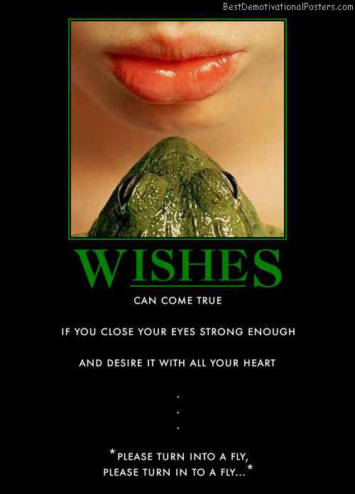 wishes-frog-desire-best-demotivational-posters