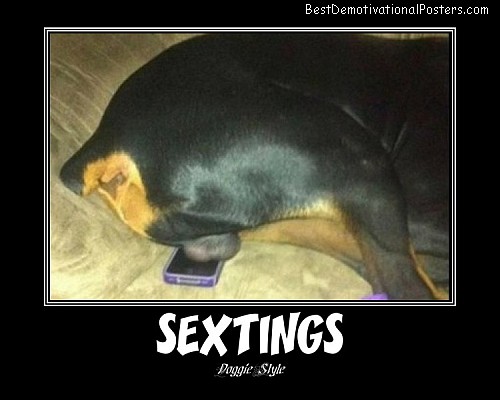 Sextings Dog Demotivational Poster