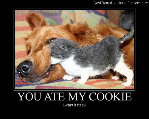 dog and cat Cookie best-demotivational-poster