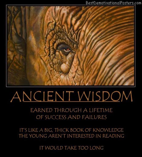ancient-wisdom-elefant-best-demotivational-quote
