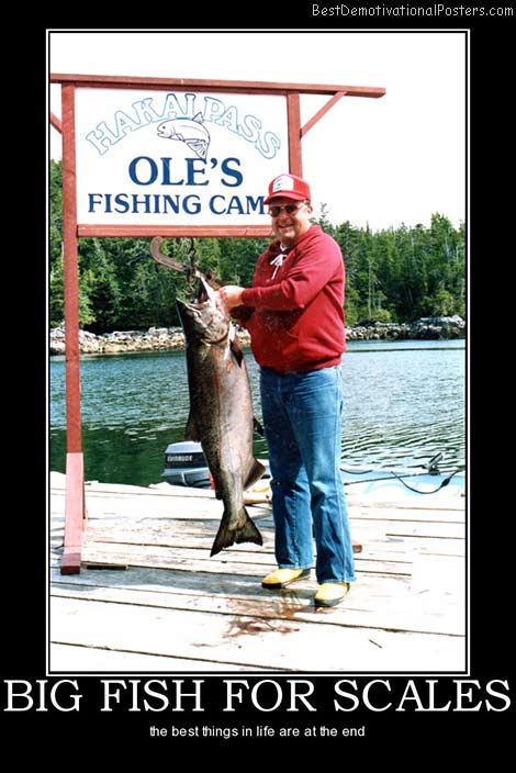 big-fish-for-scales-best-demotivational-posters