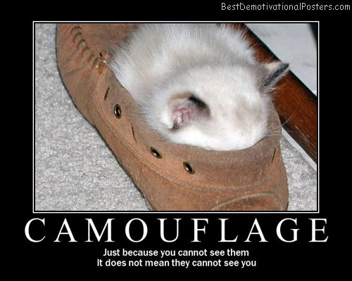camouflage best-demotivational-posters