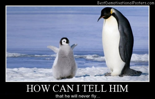 penguin-cant-fly-best-funny-posters